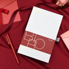 BRIO 百锐钢笔礼盒 颜色随机发