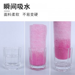 美穗吉家椰壳多用清洁抹布10条装 MIH-2404192