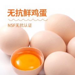 圣迪乐 无抗鲜鸡蛋20枚装1kg   6927978000303