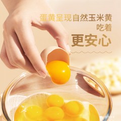 圣迪乐 多维谷物蛋30枚装1.5kg  6927978000136