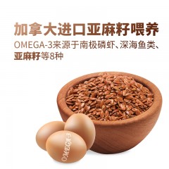 圣迪乐 OMEGA-3鸡蛋30枚精致礼盒装1.5kg  6927978031482