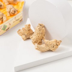 敖东西洋参粒头礼盒150g