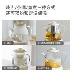 olayks.立时1L全玻璃养生壶OLK-06-09 HCQ00203