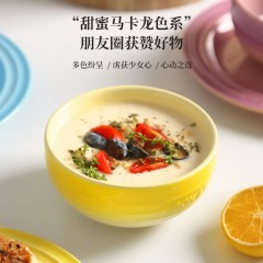 栢士德BYSTON艾斯塔陶瓷碗套装BST-1024