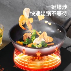 栢士德BYSTON电磁炉BSD-L220