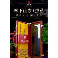 长白山人参   林下参（虫草礼盒）林下参15g+虫草10支   6970044562250