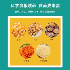 晋龙 叶黄素可生食鸡蛋礼盒1650g  30枚