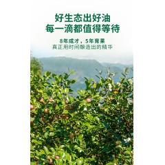 艾贝拉有机山茶油礼盒500ml*2    6974646726478