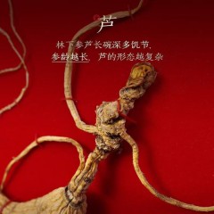 长白山人参   林下参礼盒15-20g/盒   CBM_B7