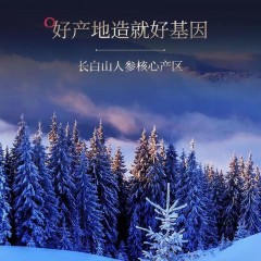 长白山人参   野山参礼盒A8＞16g   6970044563080