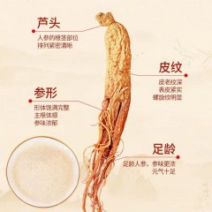 长白山人参   红参粉180g（60袋）   6970044562908