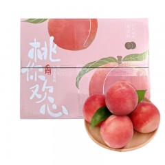 云南嘟嘟四川龙泉水蜜桃9斤