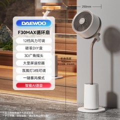 大宇空气循环扇F30MAX  6975701165171