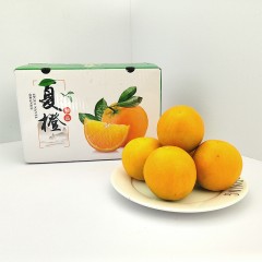 云南嘟嘟湖北夏橙果经65-70mm	5斤