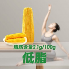 十月稻田 黄糯玉米4.4斤(220g*10根) 东北糯玉米  6953721706505 新疆西藏海南内蒙甘肃宁夏青海不发货
