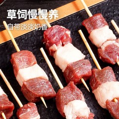 大希地 羊肉串套餐 1200g dxd-12 全国包邮