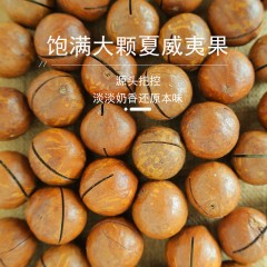花家盛世 夏威夷果500g圆罐装HWXW500    6978252345047