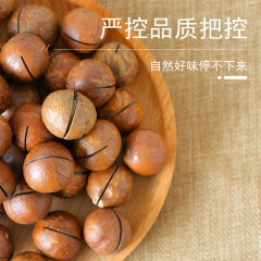 花家盛世 夏威夷果500g圆罐装HWXW500    6978252345047