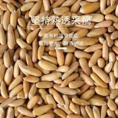 花家盛世 巴西松子450g圆罐装HWSZ450    6978252345139