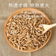 花家盛世 巴西松子450g圆罐装HWSZ450    6978252345139