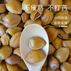 花家盛世 壳山杏550g圆罐装HWSX550    6978252345153