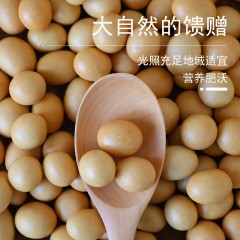 花家盛世 香脆鱼皮花生368g圆罐装HWXC368    6978252345207