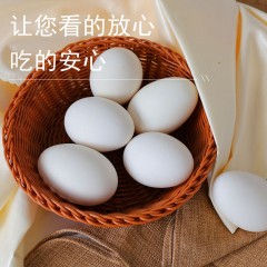 花家盛世 东北水库 吉林散养新鲜鹅蛋12枚（1400±50g）未清洗建议慎拍