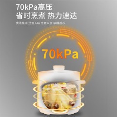 西屋Westinghouse-电压力锅WYL-05A
