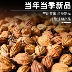 花家盛世 砂仁140g 调味品炖肉料    6978252344064