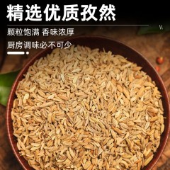 花家盛世 孜然粒320g 调味品炖肉料    6978252344125