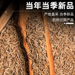花家盛世 孜然粒320g 调味品炖肉料    6978252344125