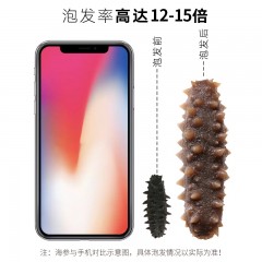 京润堂大连国标辽参150克 一级淡干海参    偏远另加运费