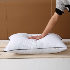 啄木鸟(PLOVER)抗菌除螨枕芯-两只ZMN-ZX003  6975502031378