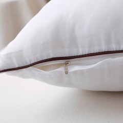 啄木鸟(PLOVER)抗菌除螨枕芯-两只ZMN-ZX003  6975502031378