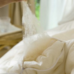 啄木鸟(PLOVER)秋冬被-纯棉大豆纤维被ZMN-DDB-01（200*230cm/2.9KG） 6975502030869