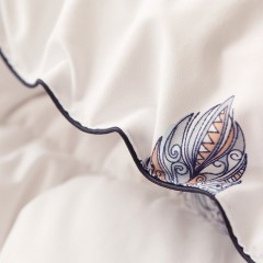 啄木鸟(PLOVER)秋冬被-羽绒被-1ZMN-YSB-01（200*230cm/2.9KG）6975502030876