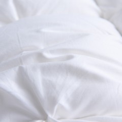 啄木鸟(PLOVER)秋冬被-精品羽绒被ZMN-YRB-01（200*230cm/2.9KG）6975502030883