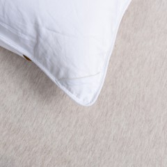 啄木鸟(PLOVER)秋冬被-精品羽绒被ZMN-YRB-01（200*230cm/2.9KG）6975502030883
