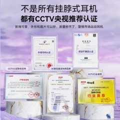 品存(picun)  挂式耳机  X5黑色  6970604903059  偏远加运费