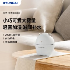 HYUNDAI 韩国现代加湿器 DDM-1  6977778241321