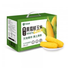 甲米谷道正宗东北黑土黄糯鲜玉米2.2kg【220g*10】 新疆 西藏不包邮