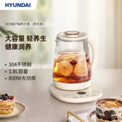 HYUNDAI 韩国现代电热水壶(养生壶)DC5B07