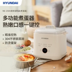 HYUIDAI 韩国现代煮蛋器 NE-250A