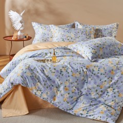 保罗大卫PAUI DAVID绵语四件套（浅韵蔷薇/雾棱格）200*230cm  75734070787