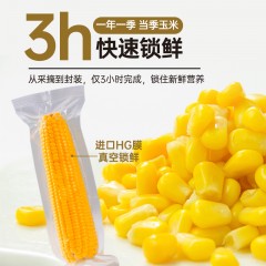 甲米谷道正宗东北黑土金糯鲜玉米2.2kg【220g*10】新疆 西藏不包邮
