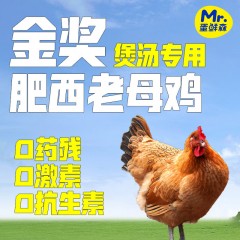 蛋鲜森金奖肥西老母鸡≥1000g/只ZH045
