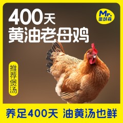 蛋鲜森黄油老母鸡0.9-1.1kg/只3只装ZH177