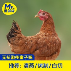 蛋鲜森徽州童子鸡650g±50g/只3只装ZH188