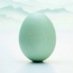 华绿宝贝蛋30枚礼盒装