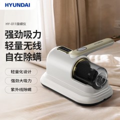 HYUNDAI 韩国现代除螨仪 HY-011